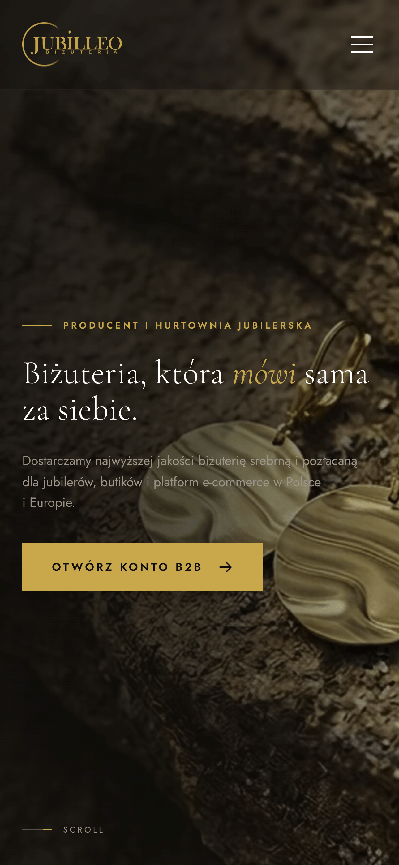 Strona główna