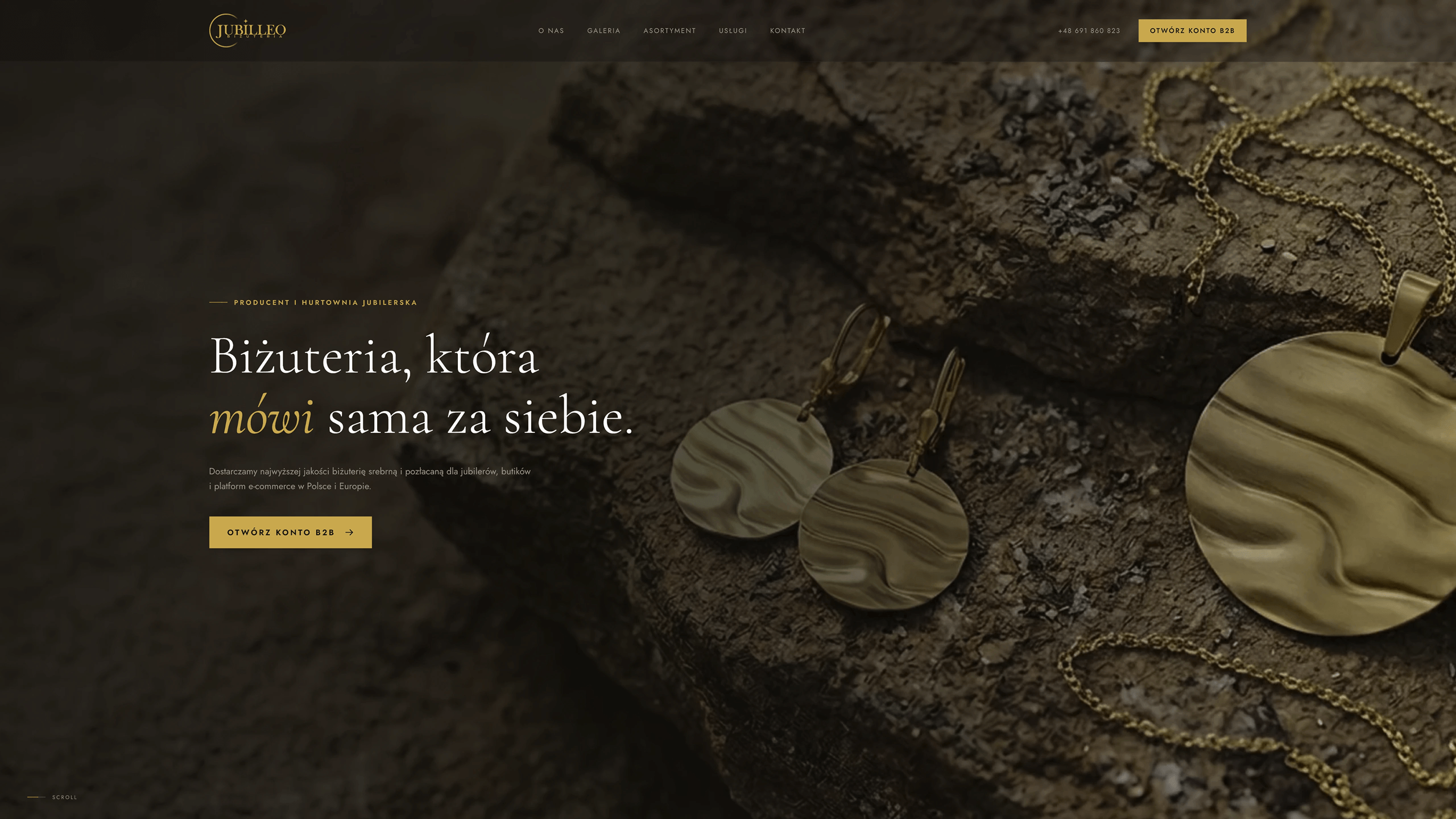 Strona główna